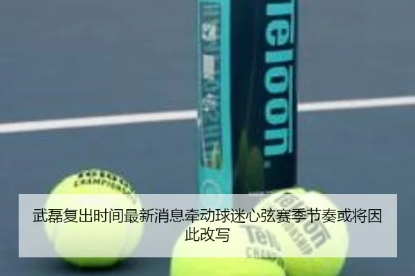 武磊复出时间最新消息牵动球迷心弦赛季节奏或将因此改写 - kaiyun